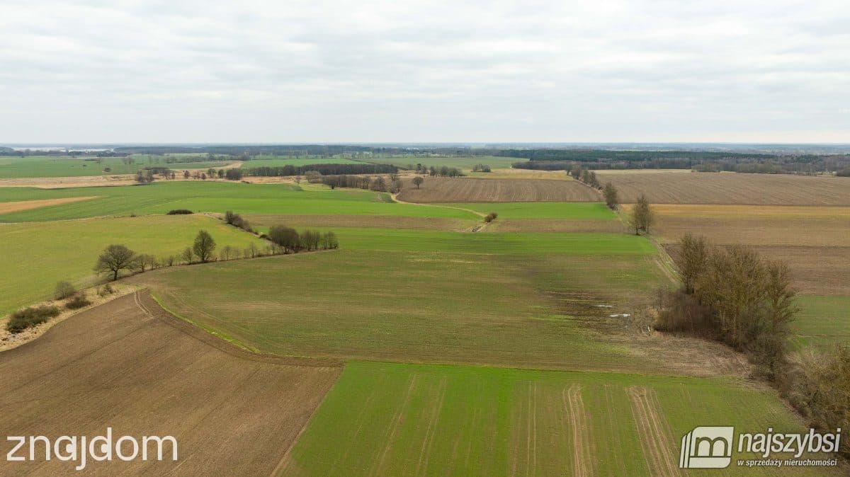 Działka, Kołczewo 1 - zdjęcie 9