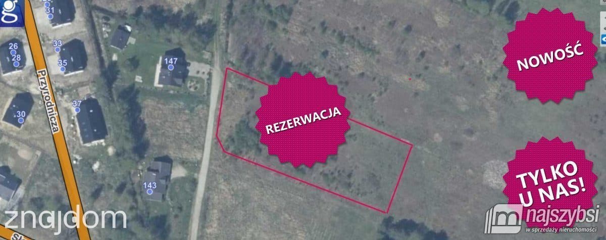 Działka, Żółwia Błoć