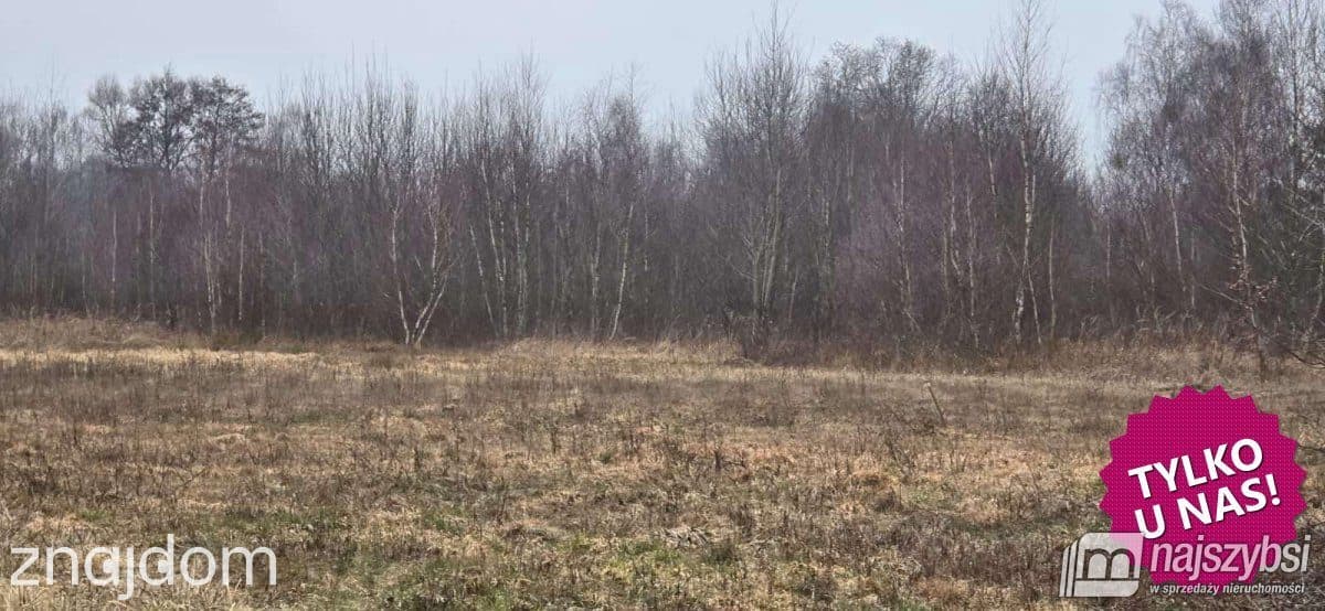 Działka, Żółwia Błoć - zdjęcie 2