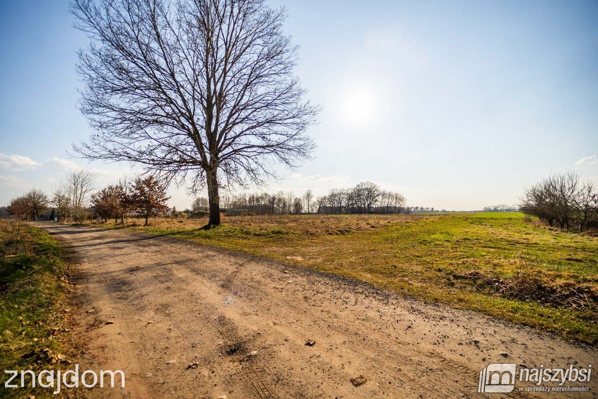 Działka, Nowogard - zdjęcie 6
