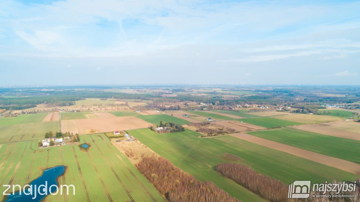 Działka, Nieżyn - zdjęcie 9