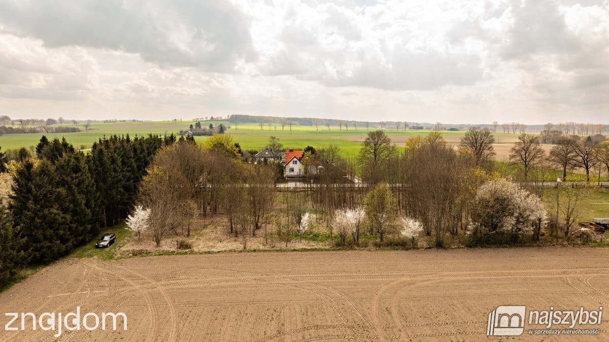 Działka, Brojce - zdjęcie 8