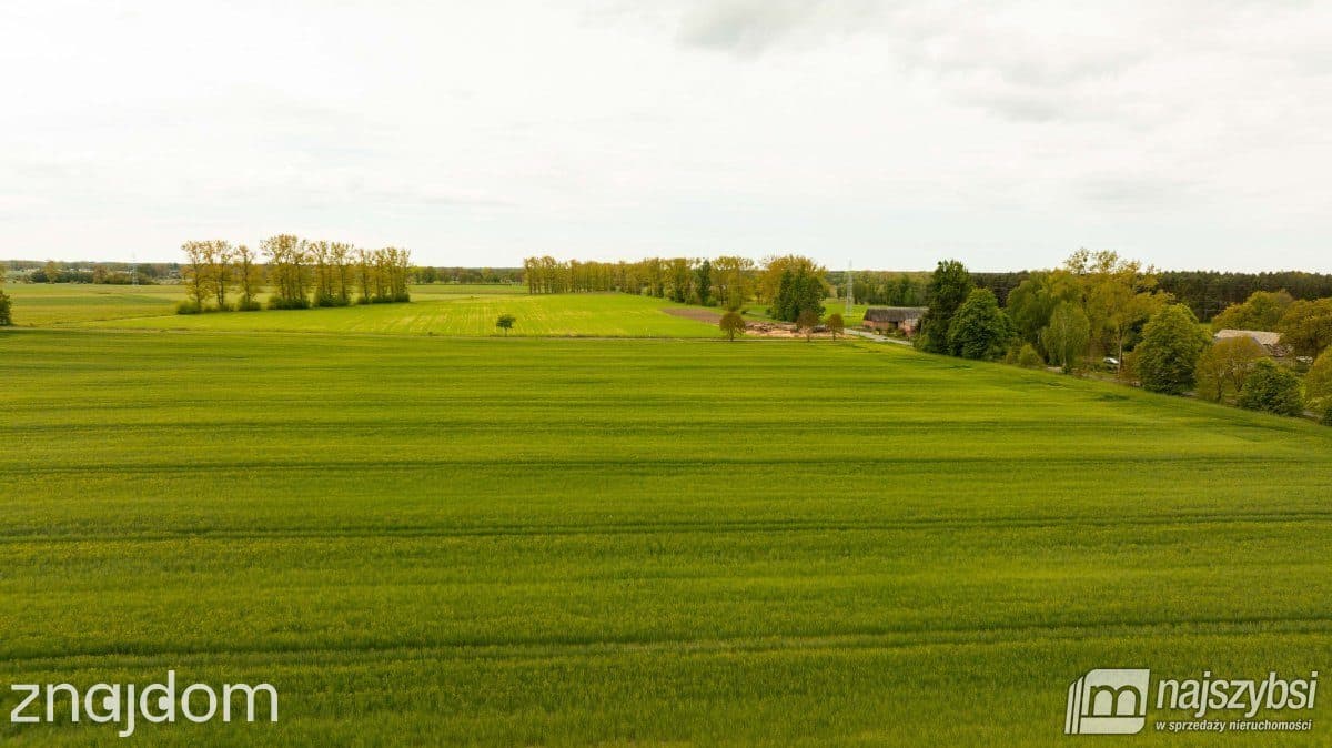 Działka, Nowogard - zdjęcie 17