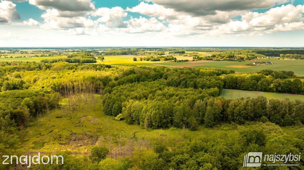 Działka, Nowogard - zdjęcie 4
