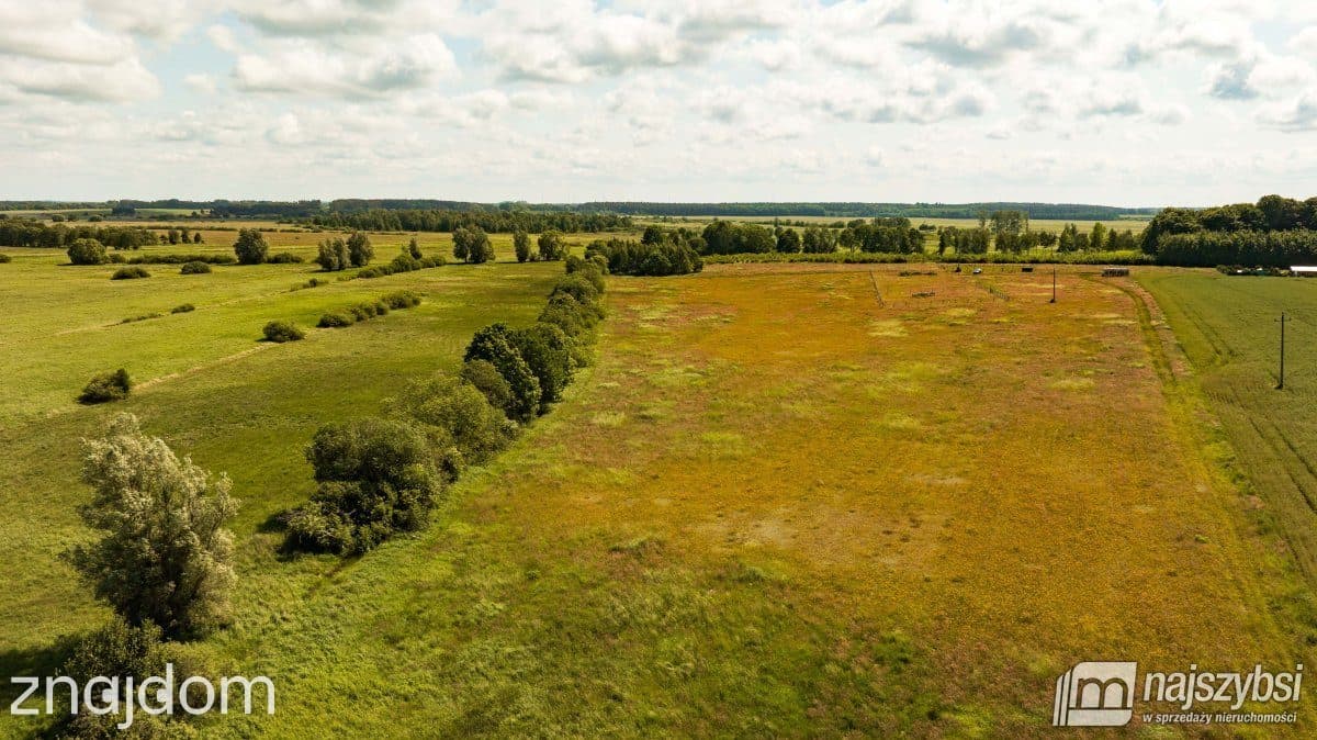 Działka, Ninikowo - zdjęcie 4