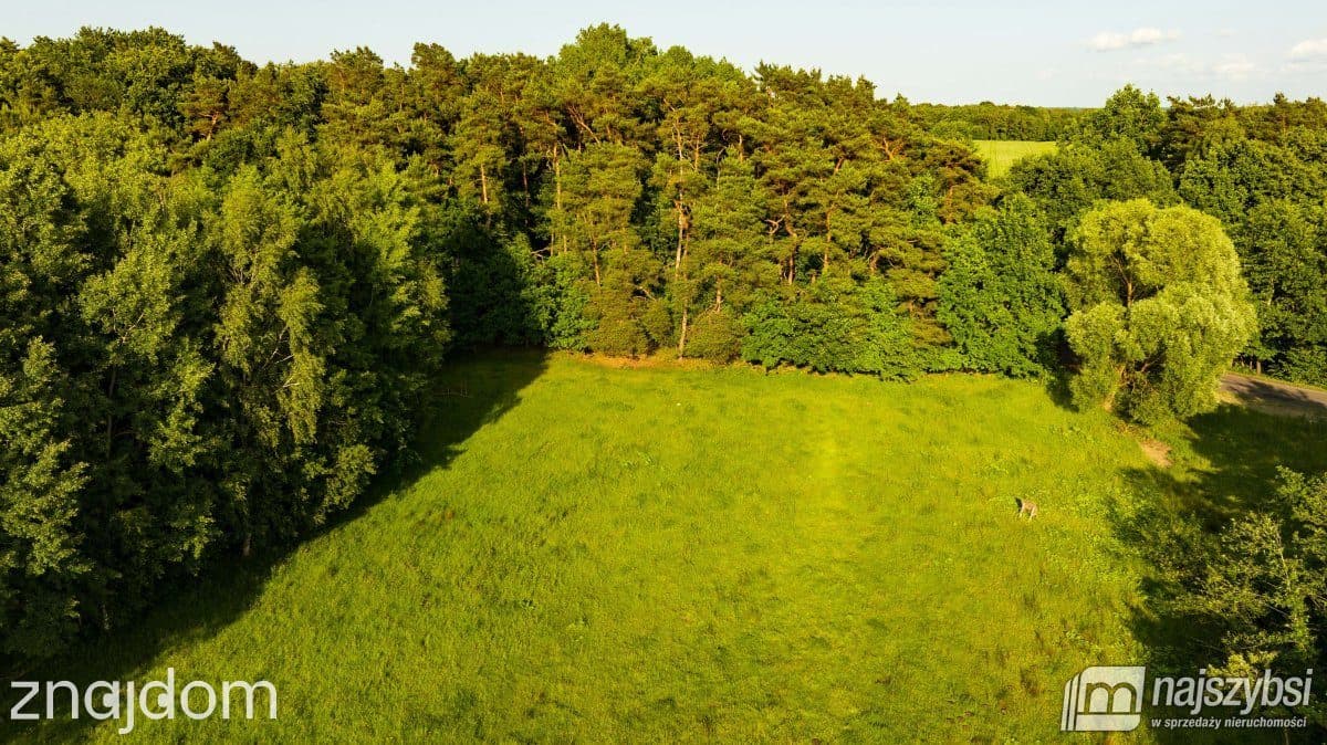 Działka, Nowogard 