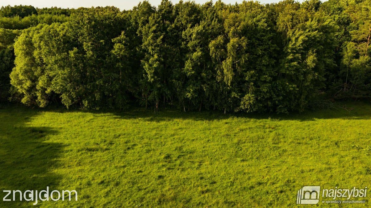 Działka, Nowogard - zdjęcie 3