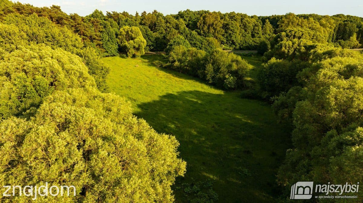 Działka, Nowogard - zdjęcie 4
