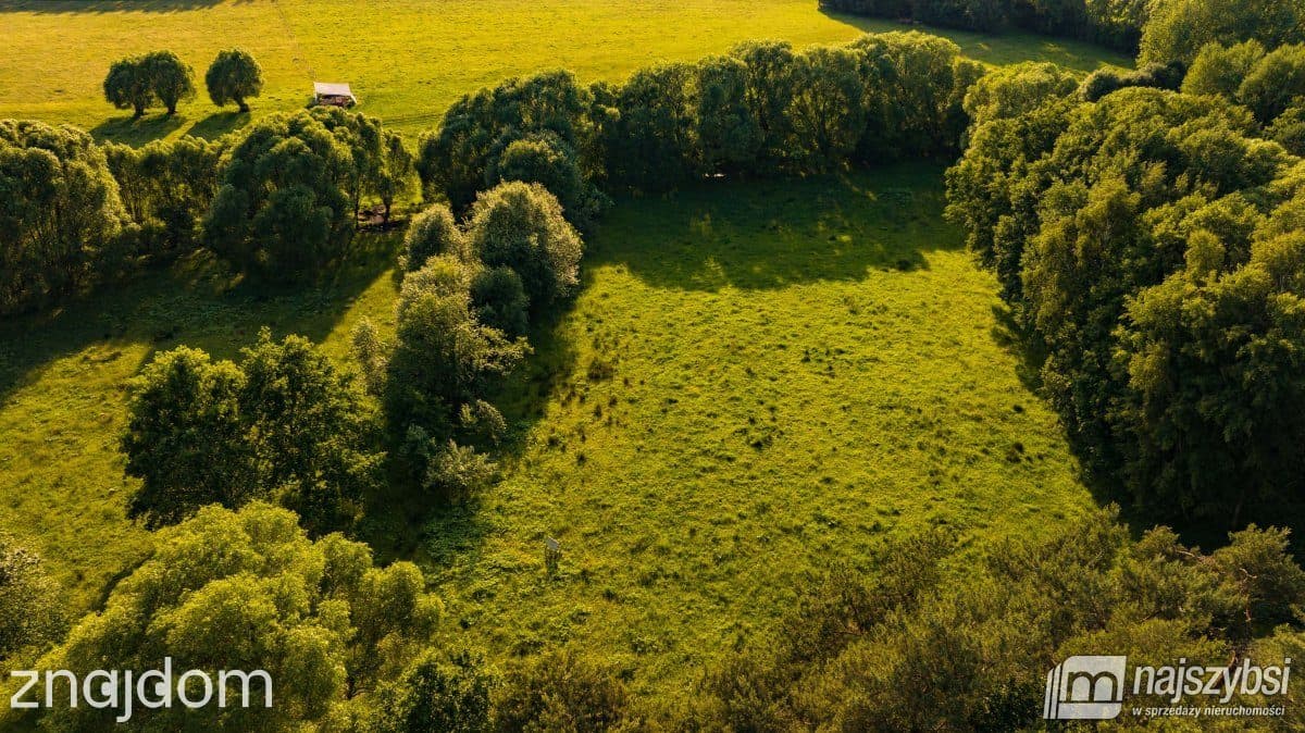 Działka, Długołęka - zdjęcie 3