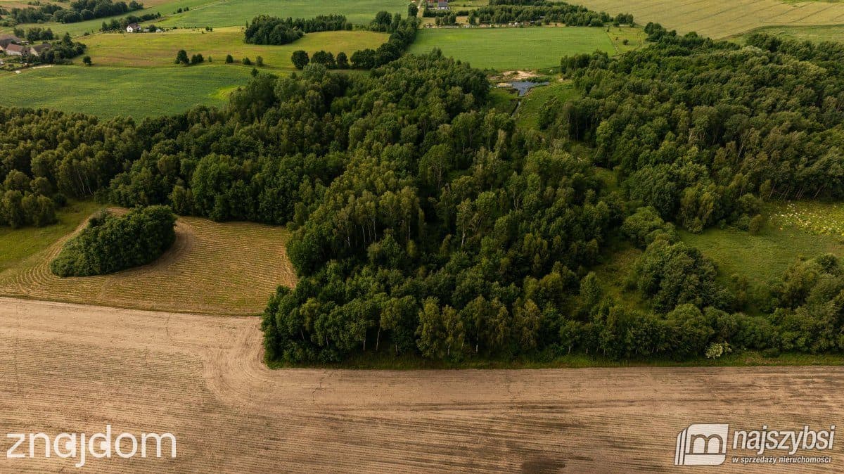 Działka, Nowogard - zdjęcie 3