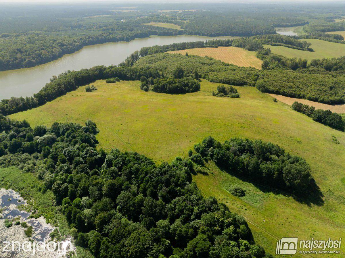Działka, Borne - zdjęcie 6