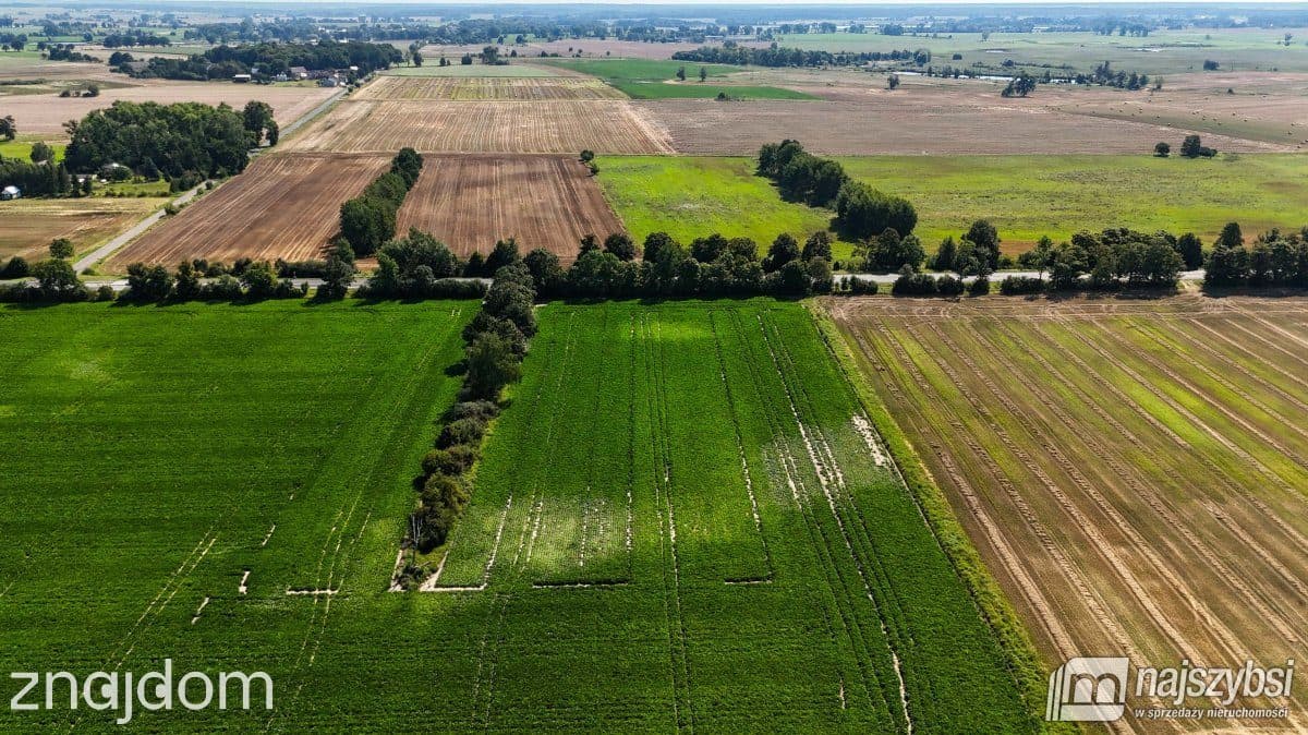 Działka, Będzin - zdjęcie 10