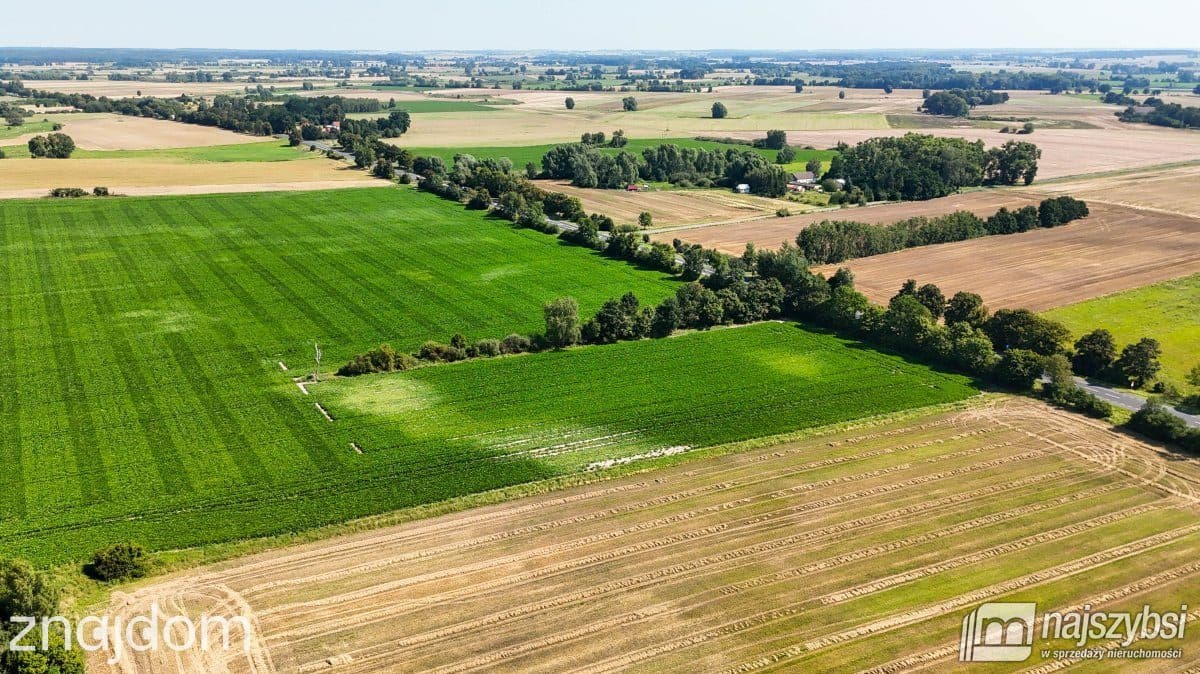 Działka, Będzin - zdjęcie 5