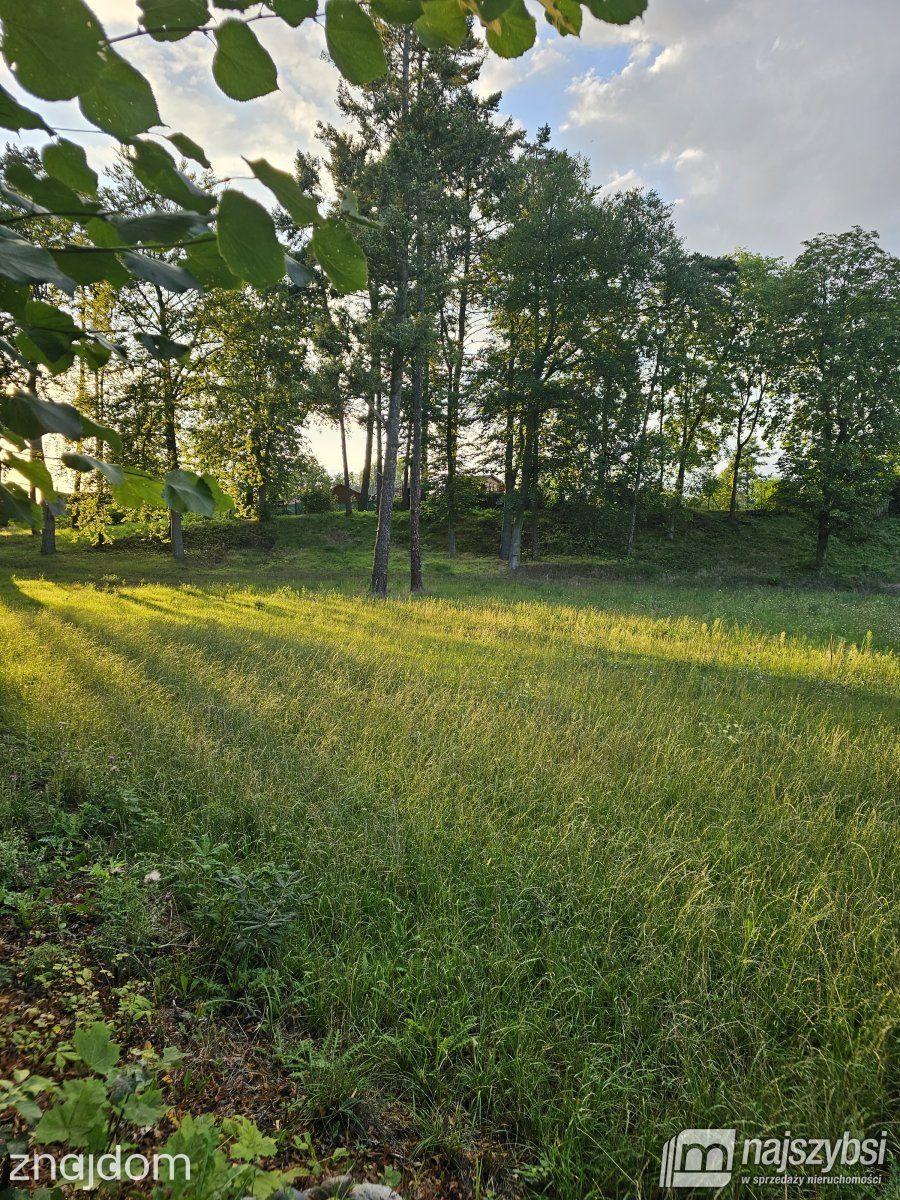 Działka, Lipiany - zdjęcie 17