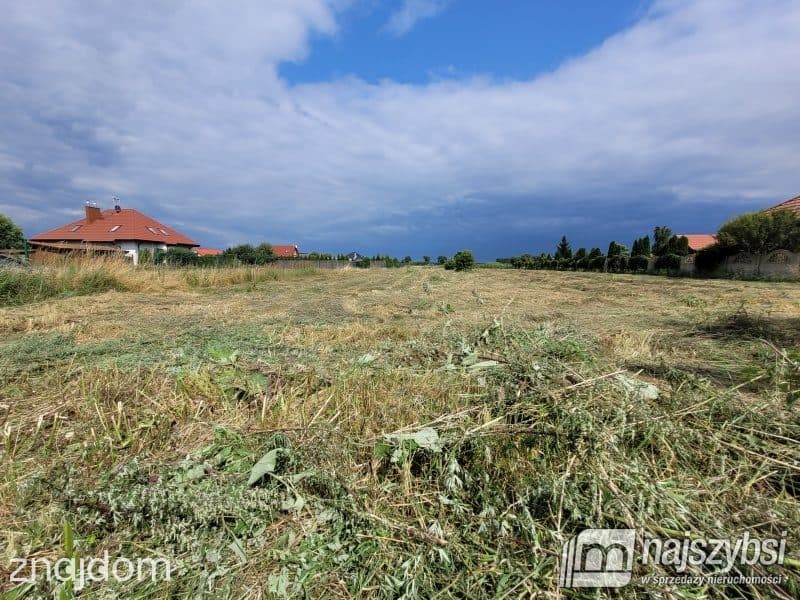 Działka, Lubczyna - zdjęcie 12