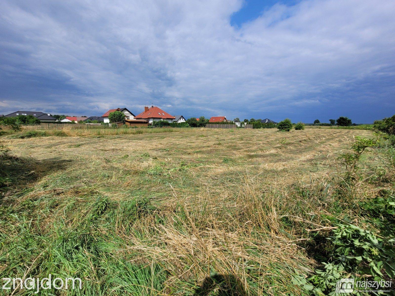 Działka, Lubczyna