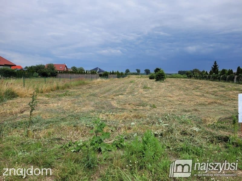 Działka, Lubczyna - zdjęcie 4