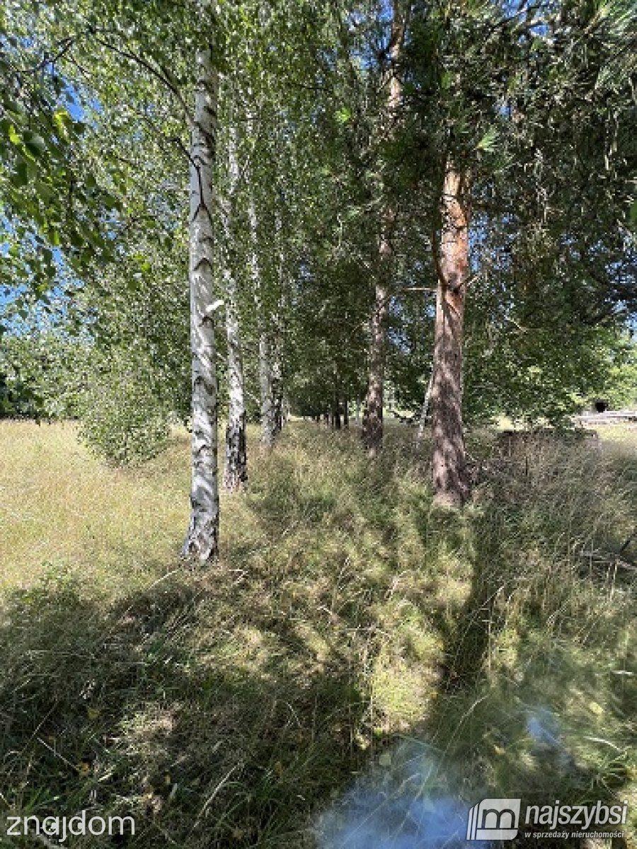 Działka, Wolin - zdjęcie 14