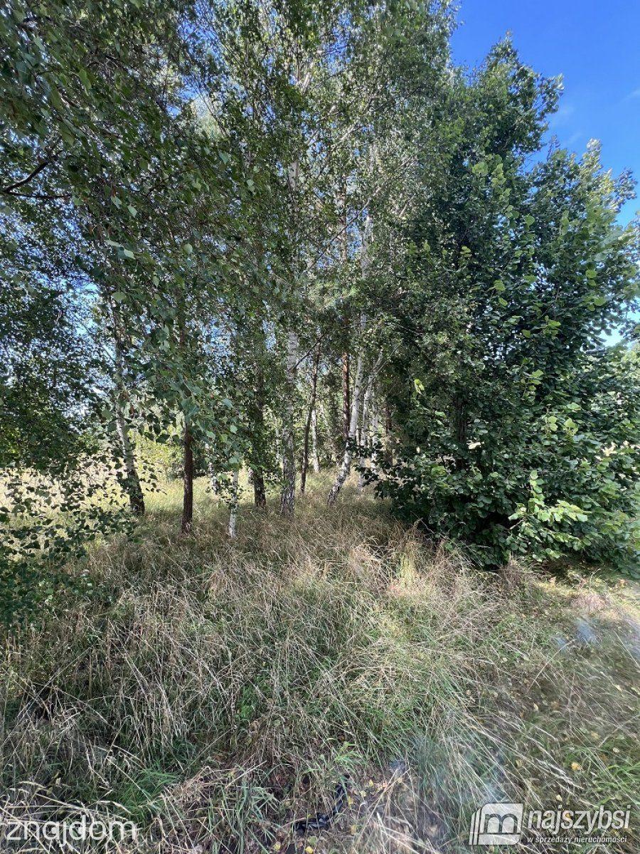 Działka, Wolin - zdjęcie 15