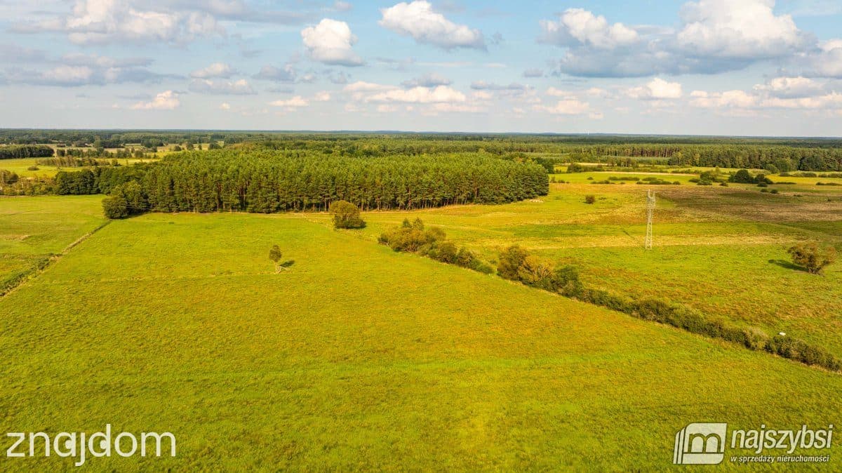 Działka, Przybiernów - zdjęcie 10