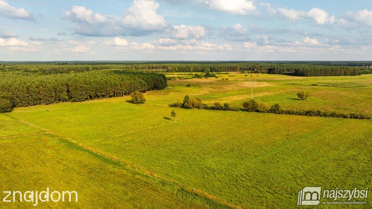 Działka, Przybiernów - zdjęcie 11