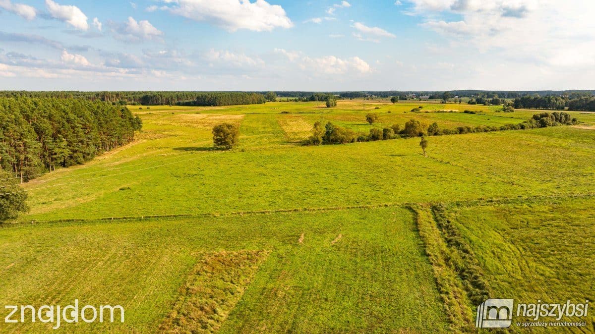 Działka, Przybiernów - zdjęcie 13