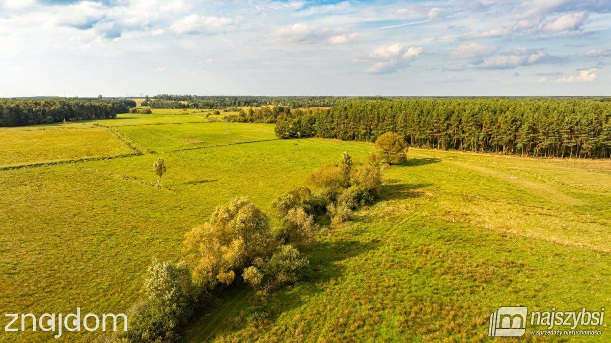 Działka, Przybiernów - zdjęcie 14