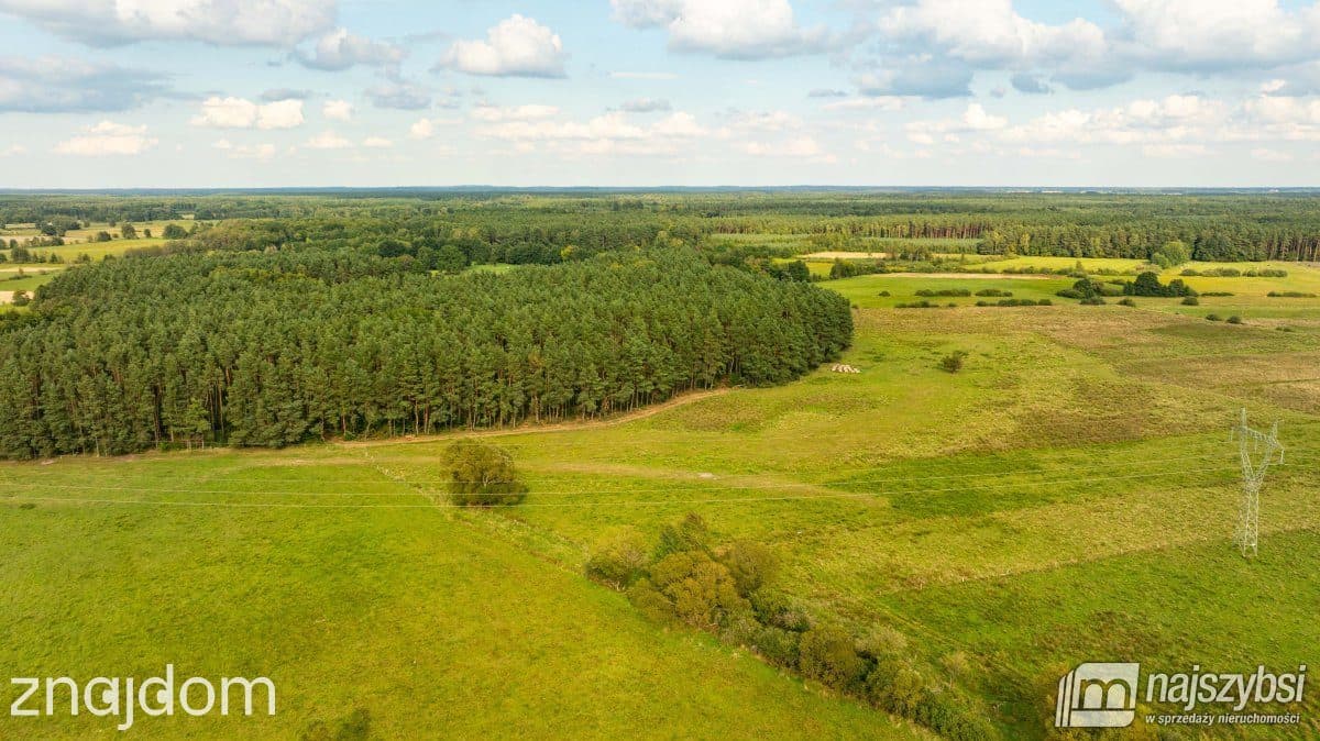Działka, Przybiernów - zdjęcie 2