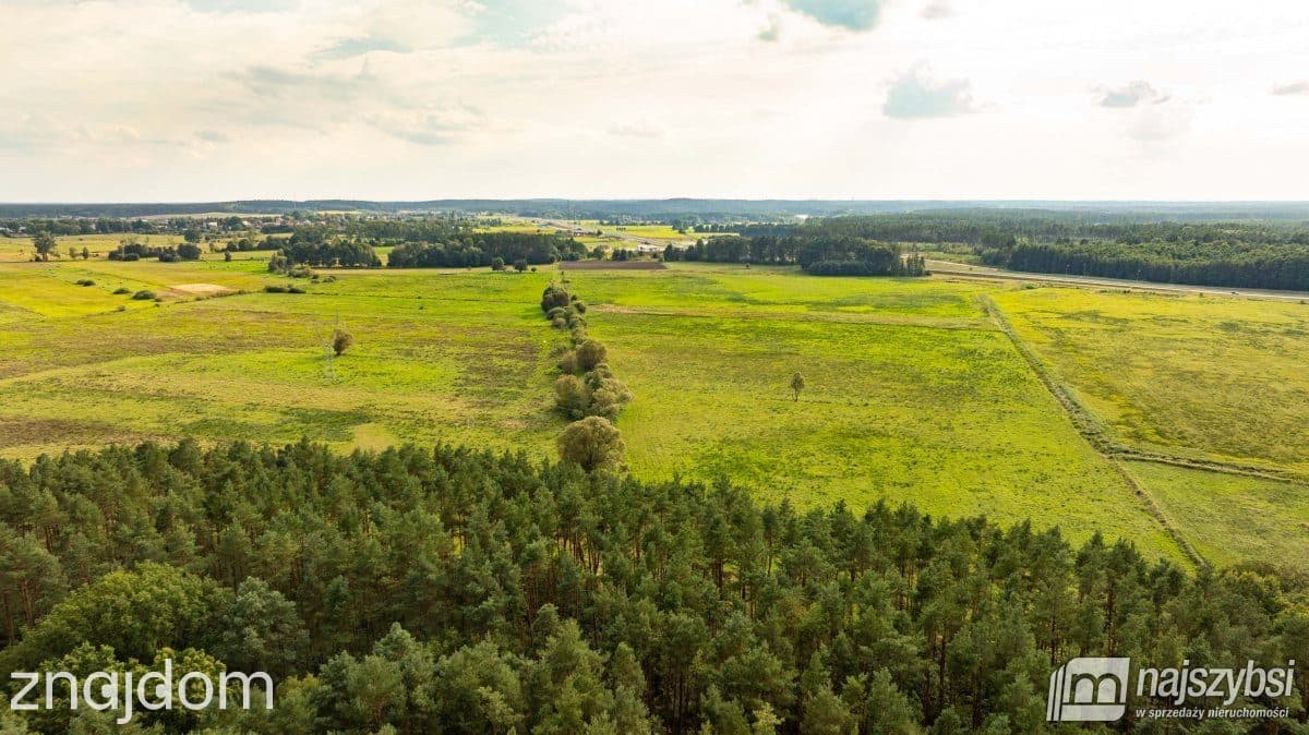 Działka, Przybiernów - zdjęcie 4