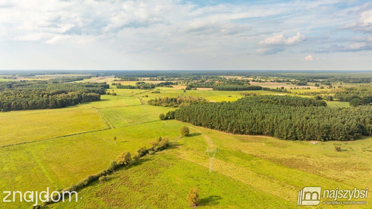 Działka, Przybiernów - zdjęcie 6
