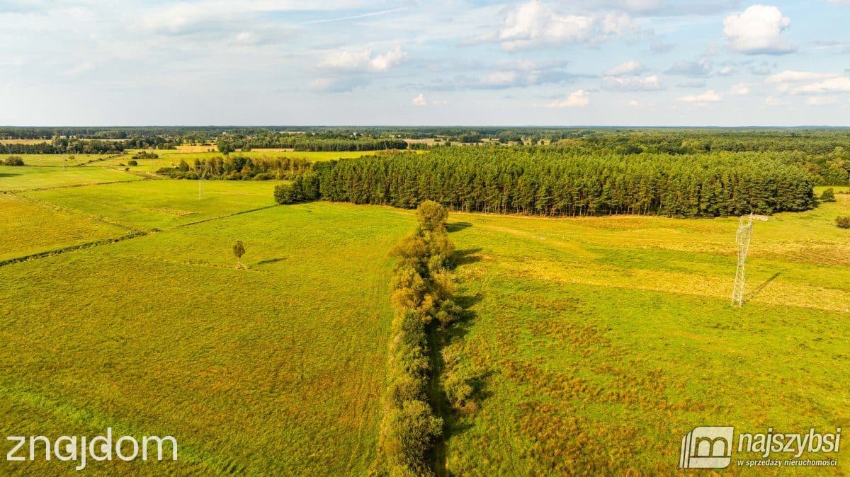 Działka, Przybiernów - zdjęcie 9