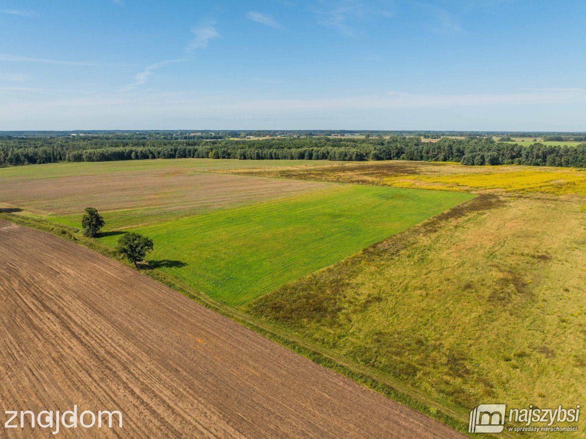 Działka, Siwkowice - zdjęcie 11