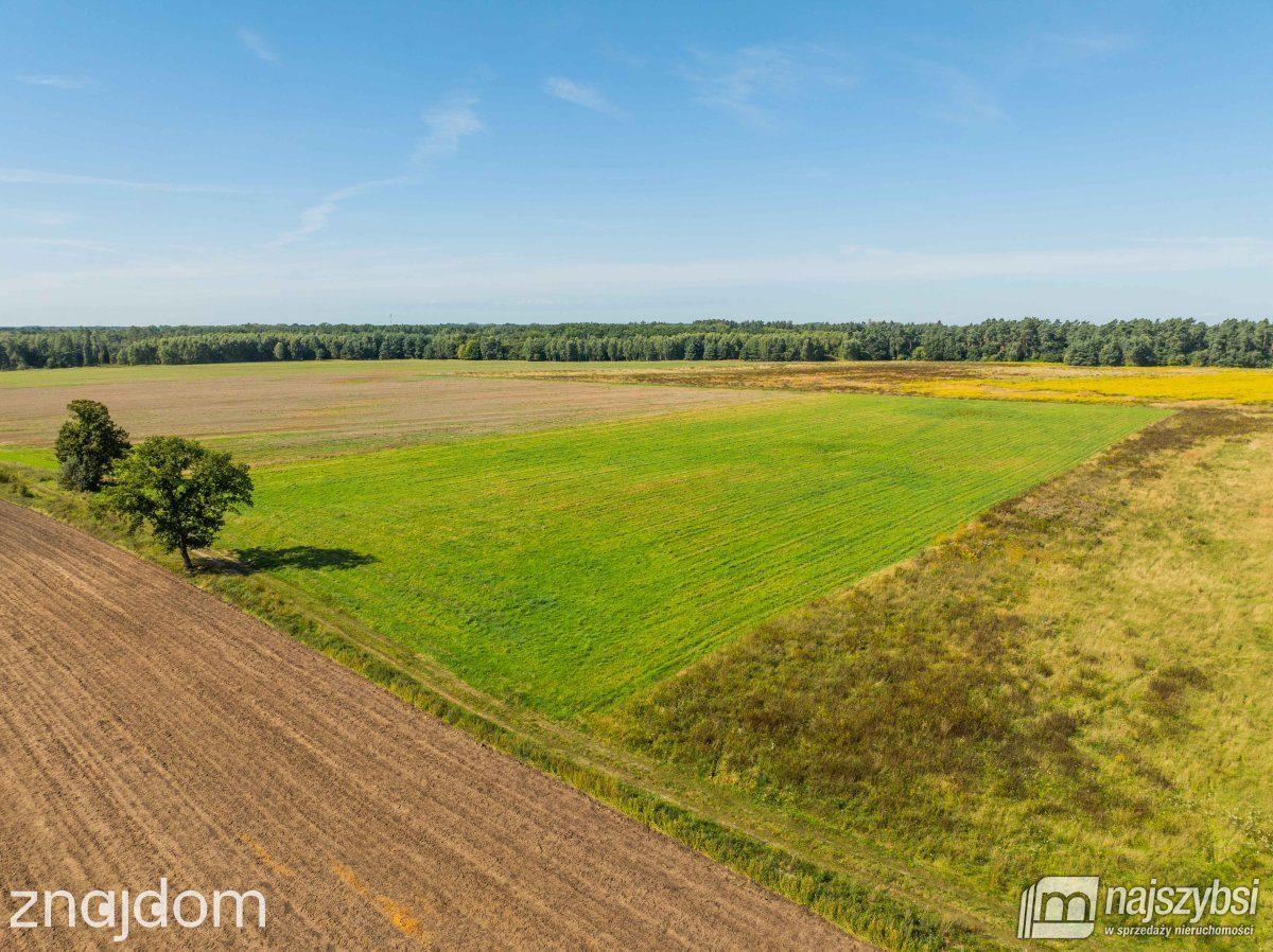 Działka, Siwkowice - zdjęcie 12