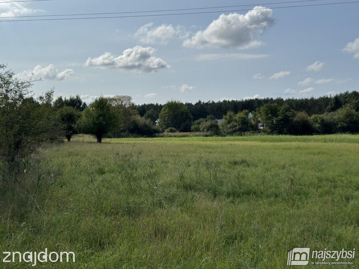 Działka, Białogard - zdjęcie 3
