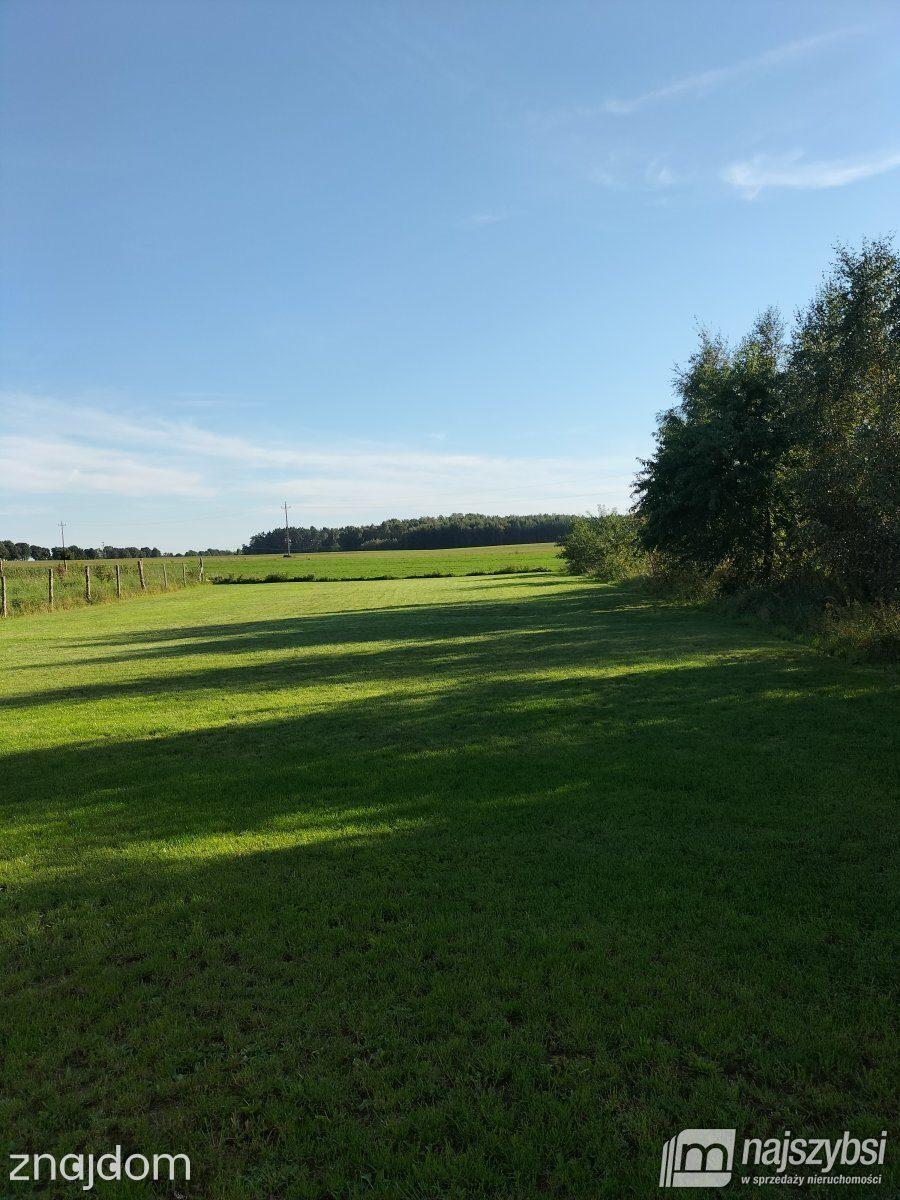 Dom, Płoty - zdjęcie 5