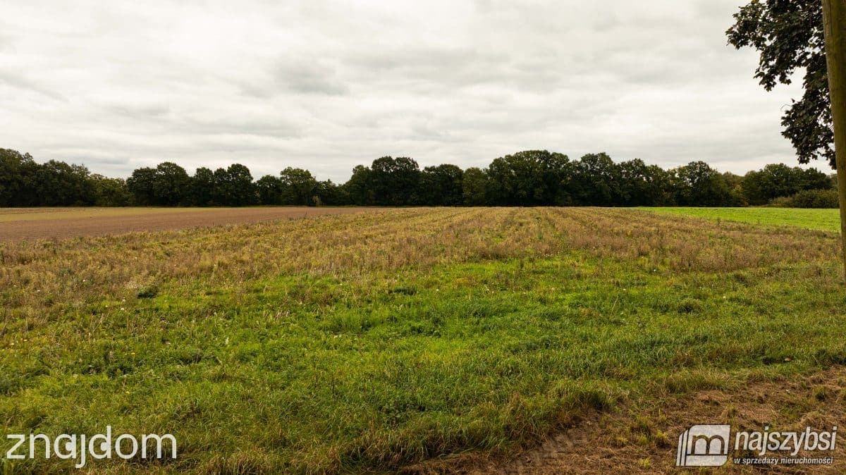 Działka, Wisławie - zdjęcie 14