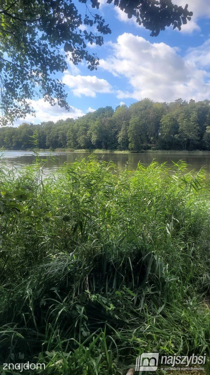 Działka, Jarosławki - zdjęcie 17