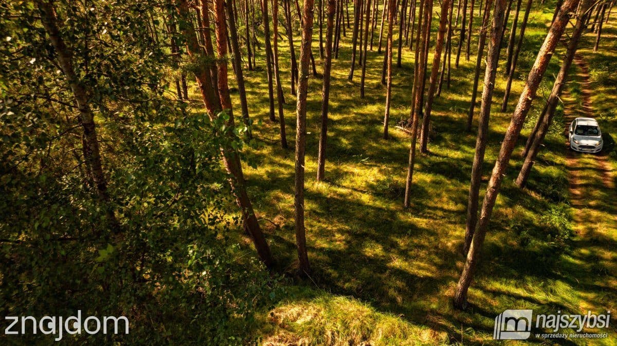 Działka, Dziwnów - zdjęcie 11