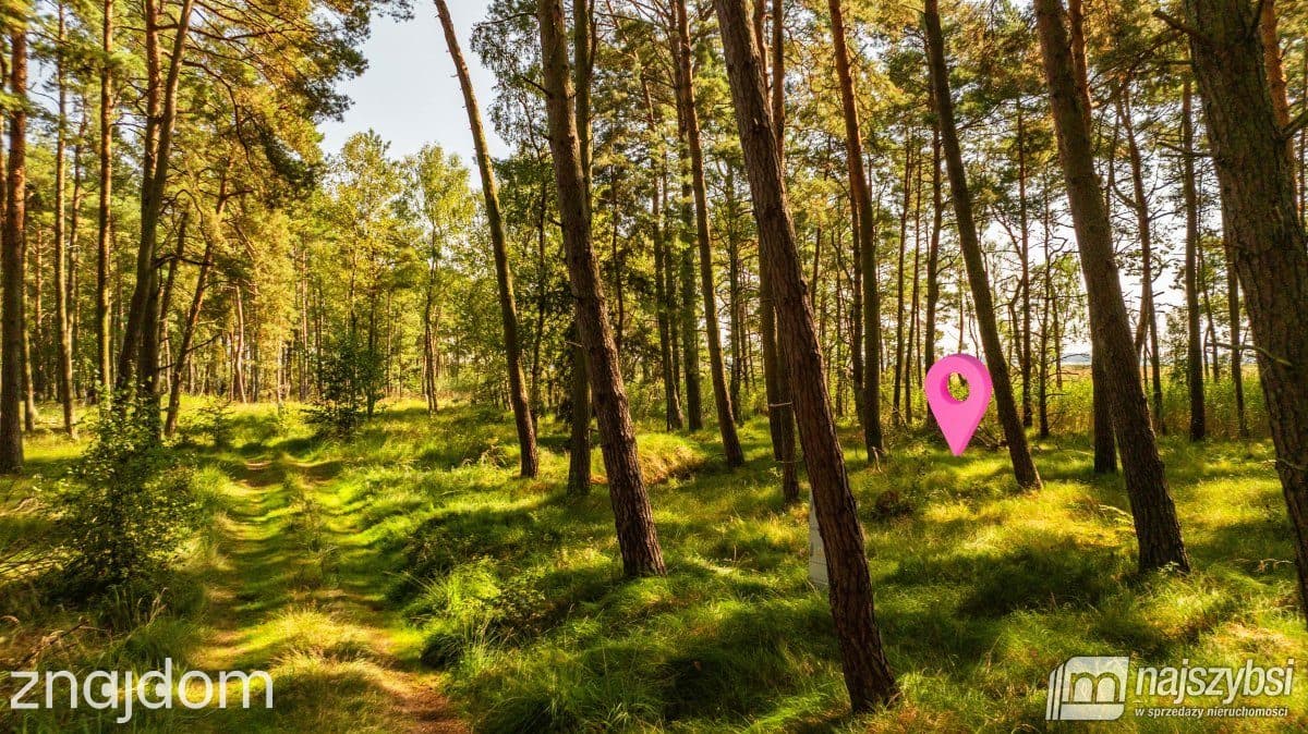 Działka, Dziwnów - zdjęcie 3