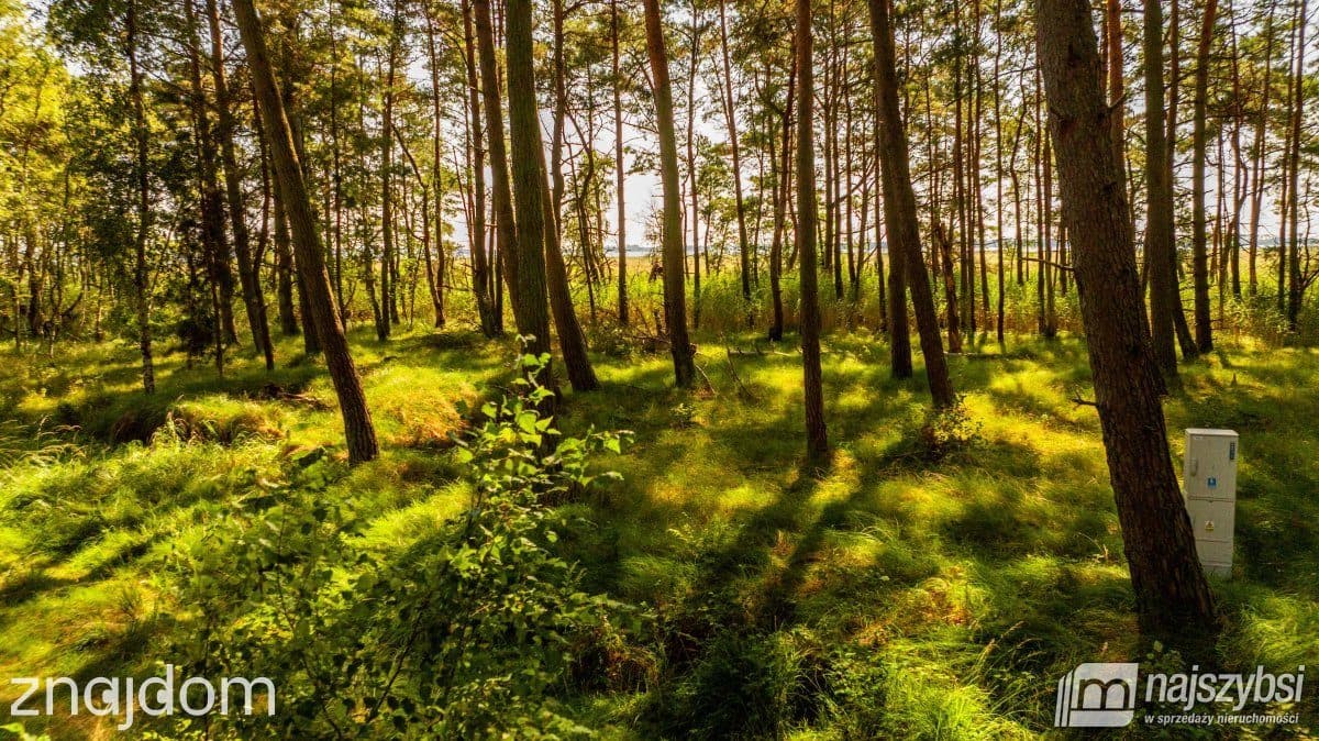 Działka, Dziwnów - zdjęcie 5