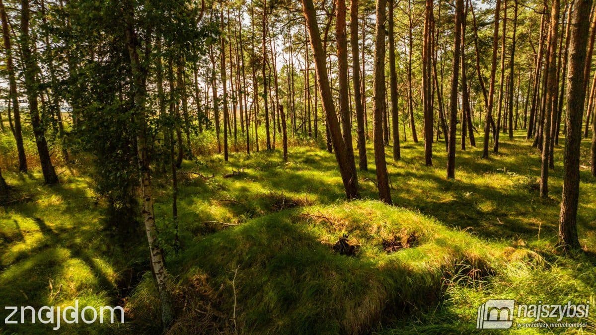 Działka, Dziwnów - zdjęcie 6