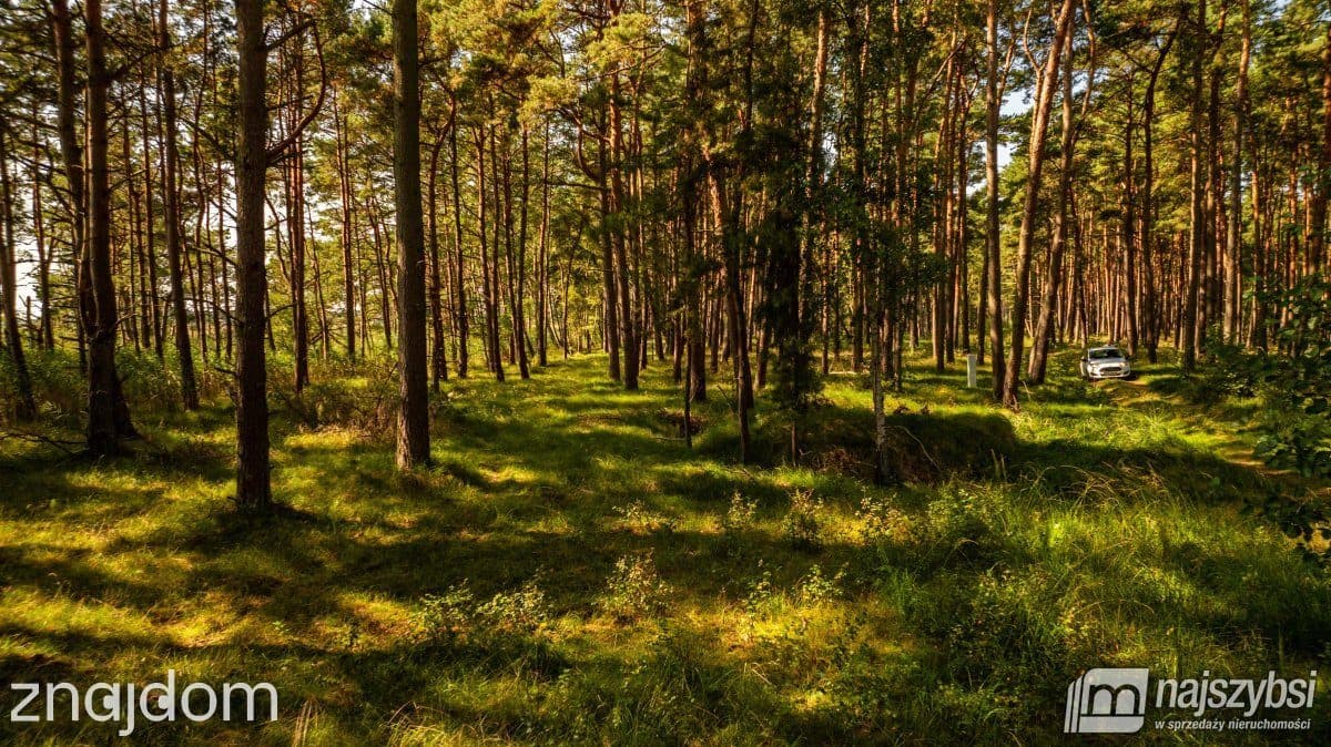 Działka, Dziwnów - zdjęcie 7