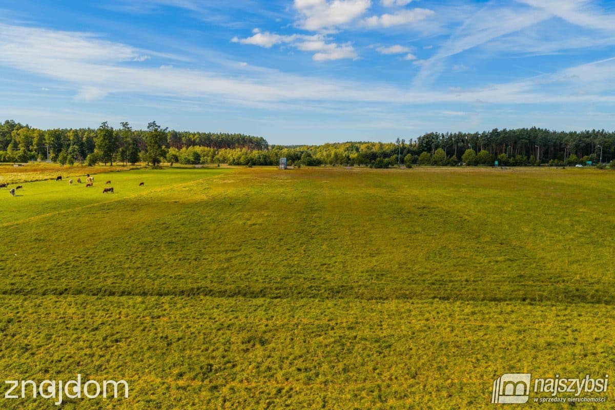 Działka, Goleniów - zdjęcie 11