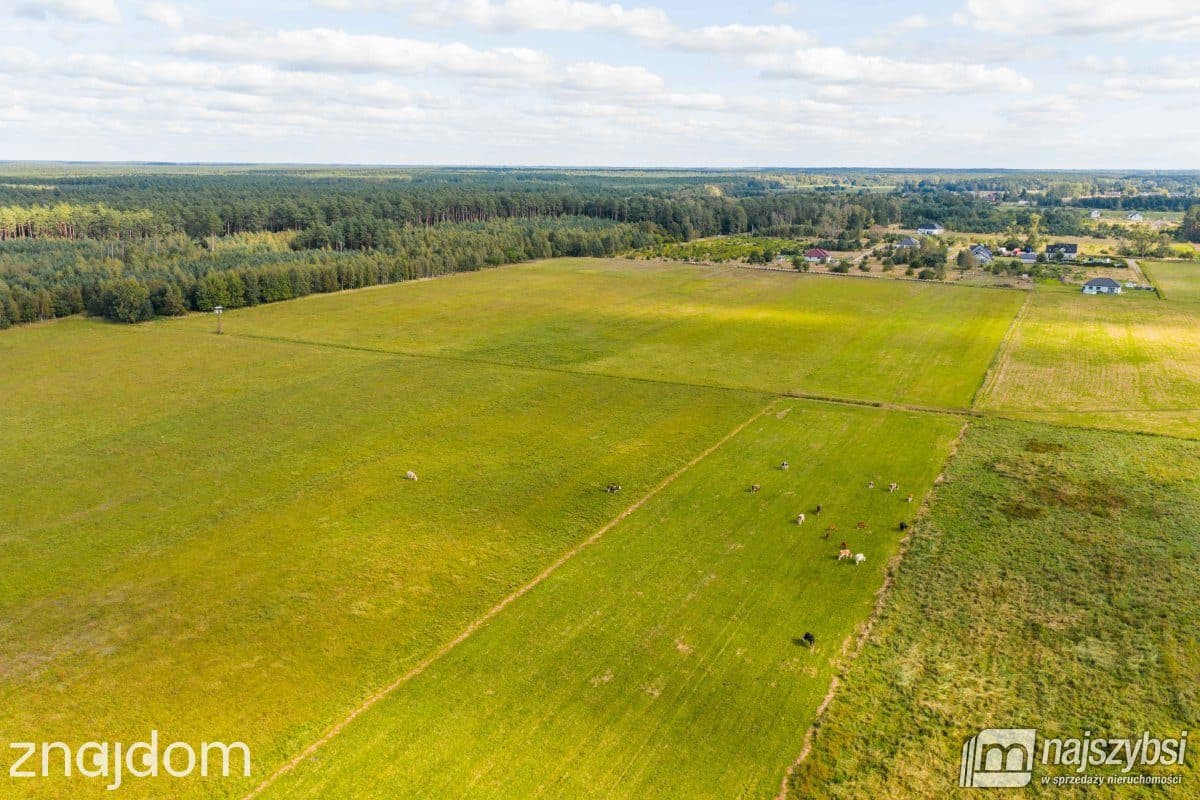 Działka, Goleniów - zdjęcie 18
