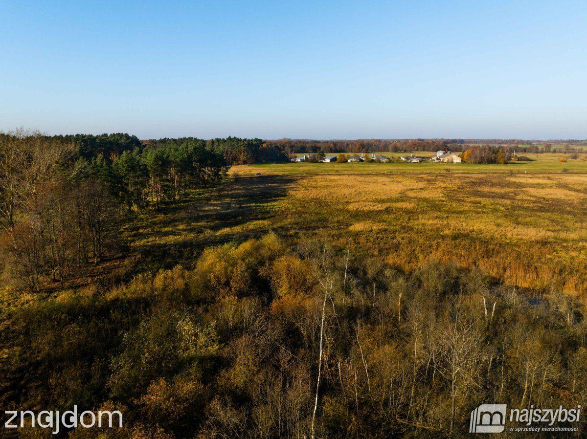 Działka, Wilczyniec - zdjęcie 13