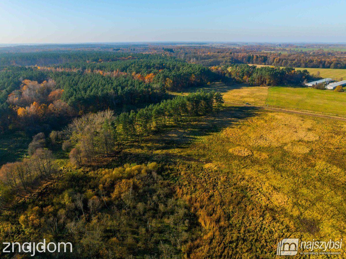Działka, Wilczyniec - zdjęcie 20