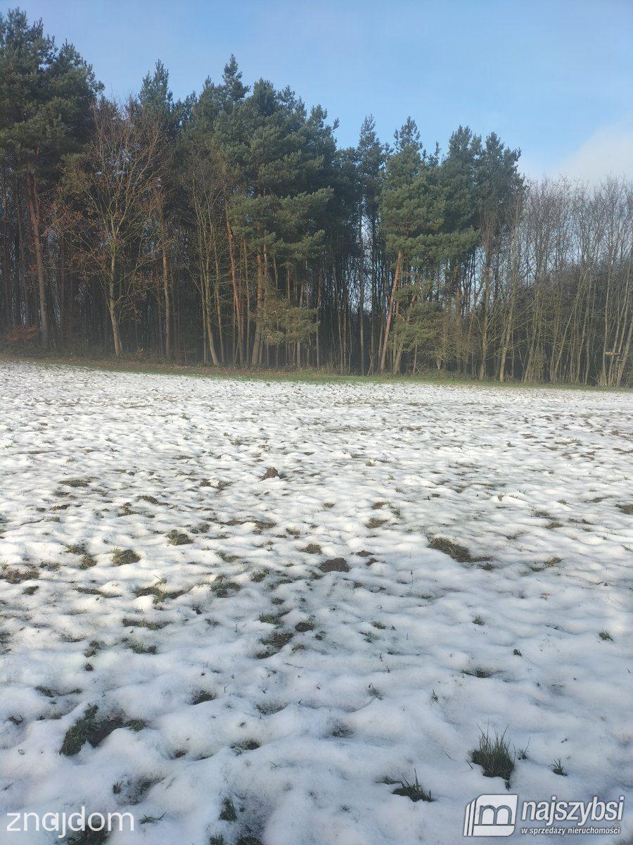 Działka, Gryfice - zdjęcie 2