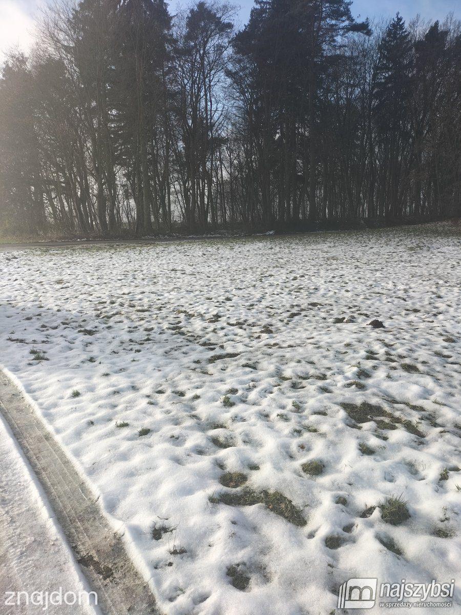 Działka, Gryfice - zdjęcie 3