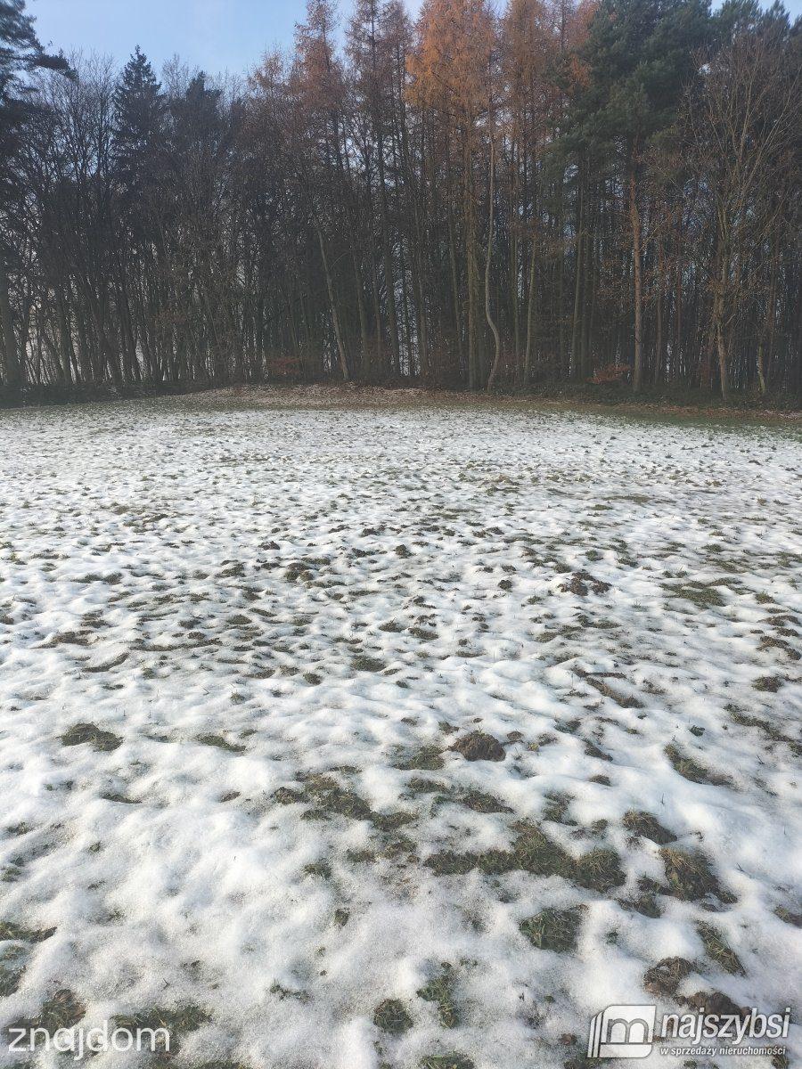Działka, Gryfice - zdjęcie 4