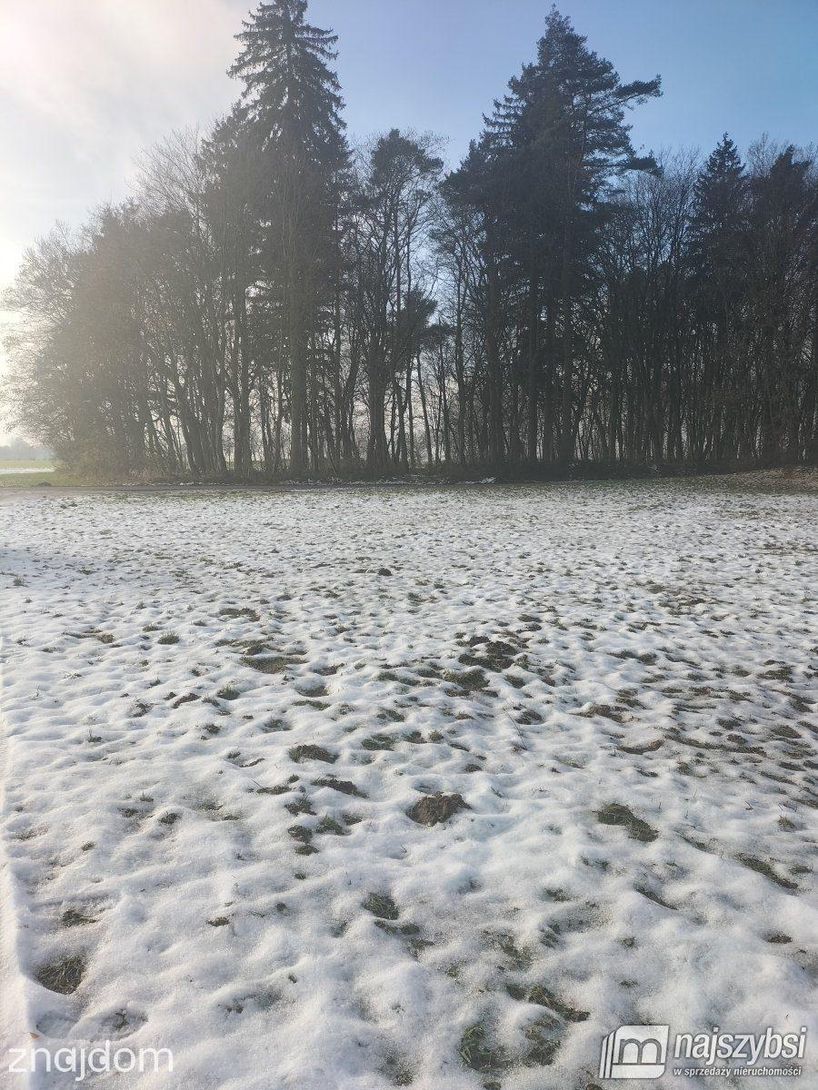 Działka, Gryfice - zdjęcie 6